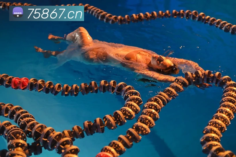 多媒体互动体验